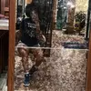 alanasutton106 - @alanasutton106 - TikTok