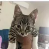 Alana Warren - @alana.warren5 - TikTok