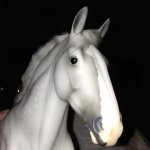 Alanna O'Connell - @breyerlove123 - Instagram