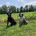 Alana Olson - Facebook