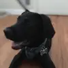 Alanna - @alanna.ryan - TikTok