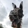 Lana sumner - @lanafoster123 - TikTok