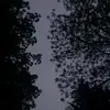 Alannah Bennett - @alannah.bennett2 - TikTok