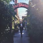 Alannah Brown - @alannahbrown - Instagram