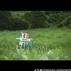 Alanna Bruce - @alanna.bruce - TikTok