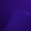 lannah - @alannah_carr06 - TikTok