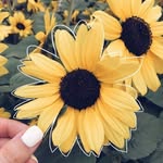 Alanna Cooper - @alannacooper46 - Instagram
