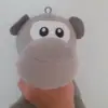 Alannah Daly - @alannahdaly67 - TikTok