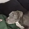 @alannahdavis651 - TikTok
