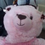 Buddy123 - @alannahday1237 - Instagram