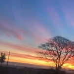 Alannahdoherty - @alannah.doh - Instagram