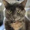 alannahferris - @alannah.ferris3 - TikTok
