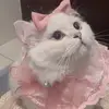 alanna.fleming - @alanna.fleming8 - TikTok