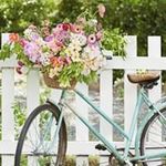 Alannah Fleming - @alannah.fleming.37 - Instagram