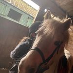 Alanna Gallagher - @alanna.gallagher.714 - Instagram