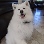 Alannah - @gallagher_alannah - Instagram
