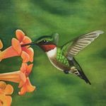 Alannah Gallagher - @humming.birdyslimes - Instagram