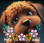 Alanna M Graham - Facebook