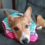 Alannah Johnson - Facebook