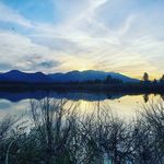 Alannah Malone - @alannah_tahoe - Instagram