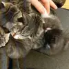 Alannah McCarthy - @alannah.mccarthy3 - TikTok