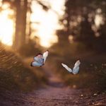 Alanna Mitchell - @alanna.mitchell - Instagram