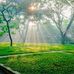 Alannah Saunders - Facebook