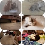 alannah scott - @alannahscott2007 - Instagram