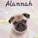 Alannah Short - Facebook