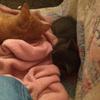 Alannah_stone - @xclusive_stephanie - TikTok