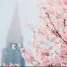 Alana Townsend - @alana.townsend2304 - TikTok