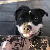 Alannah Wade🏝️ - @alannah.wade6 - TikTok