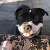 Alannah.wade - @alannah.wade1 - TikTok