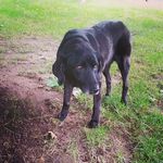 Alannah Warner - @warnerwalks - Instagram
