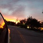 Alannah Wiggins - @alannah.wiggins - Instagram