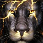 Alannah Wilson - @alannah.wilson.5283 - Instagram