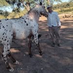 Sergio Gustavo Alarcón - @alarcon.sergiogustavo - Instagram