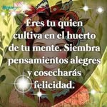 Sergio R Alarcon - @alarconsergior - Instagram