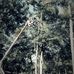 Alaric Goodman - Facebook