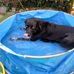 Alastair Mitchell - Facebook