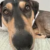 Alana Alexander - @alanaralex24 - TikTok