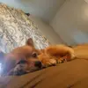 alayna - @alayna.mitchell2 - TikTok