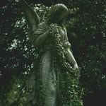 alayna mitchell - @shining_stardust5978 - Instagram