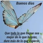Alba Barraza - @alba.barraza.39 - Instagram