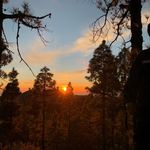 ALBA - @albabarreto_ - Instagram