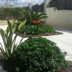 Alba Barros - @alba.barros.31 - Instagram