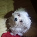 alba duque gonzalez - @alb.aduque - Instagram