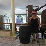 Alba Duque Rosales - @albaduquerosales - Instagram