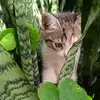 albaespitia849 - @albaespitia849 - TikTok