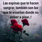 Flor Alba Espitia Torres - @floralba.espitia - Instagram